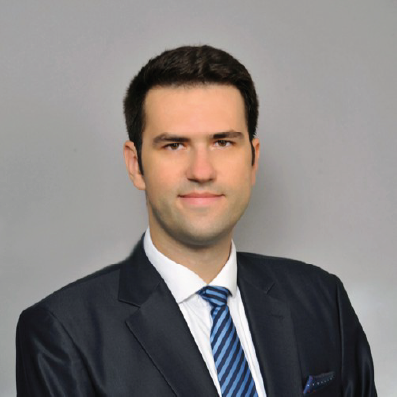 Image of Prof. Miralem Mehic